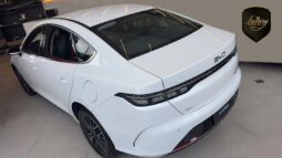 BYD KING GS 2026 CNPJ completo