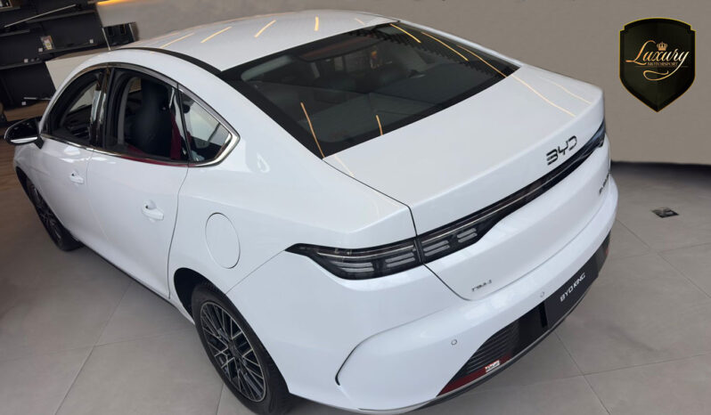 BYD KING GS 2026 CNPJ completo