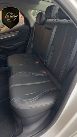 BYD KING GS 2026 CNPJ completo