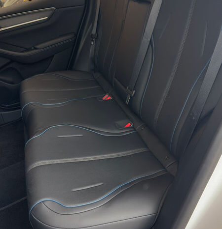 BYD KING GS 2026 CNPJ completo