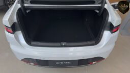 BYD KING GS 2026 CNPJ completo