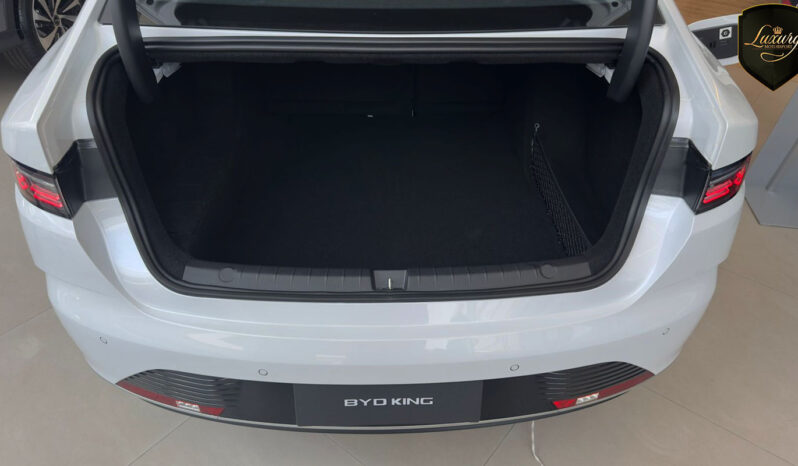 BYD KING GS 2026 CNPJ completo