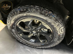 TRITON SAVANA AMARELA completo