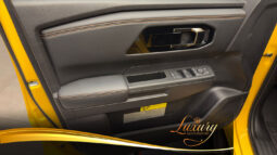 TRITON SAVANA AMARELA completo